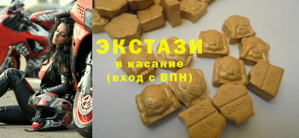 индика Богородск