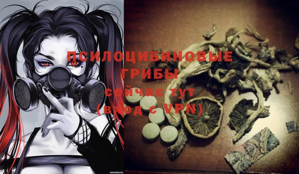 тгк Бородино