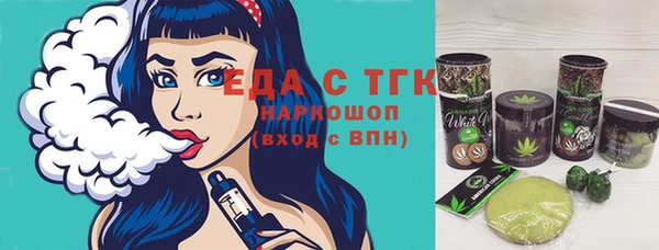 индика Богородск