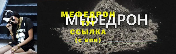 индика Богородск