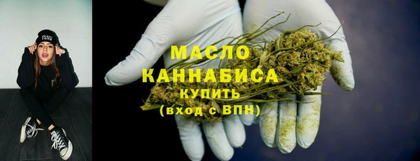 индика Богородск