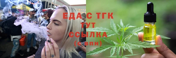 индика Богородск