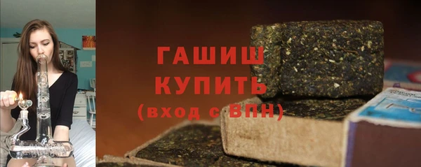 индика Богородск