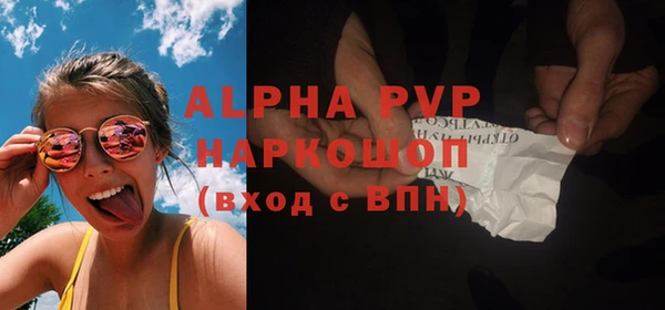 индика Богородск