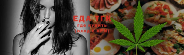 индика Богородск