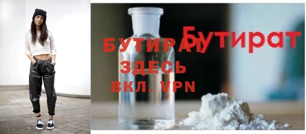 индика Богородск