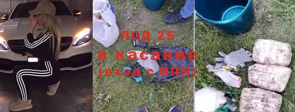 индика Богородск
