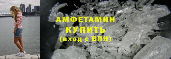 индика Богородск