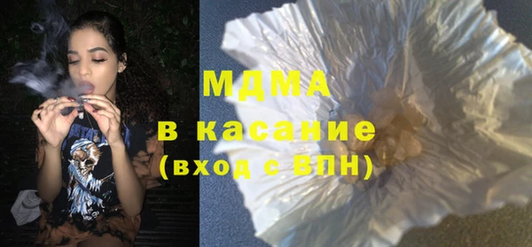 индика Богородск